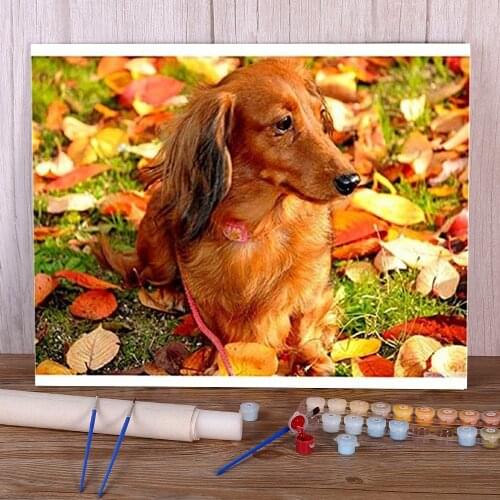 Animal Dog Dachshund Painting By Numbers Set Acrylic Paints 50*70 Canvas Painting Home Decor Children Handicraft Drawing