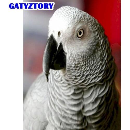 GATYZTORY 5D Diamond Painting Animal Full Drill Square Diamond Embroidery Owl Parrot Cross Stitch Kit Diamond Mosaic Decor For H