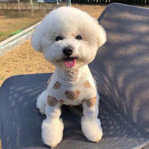 Cute Cream Bear Apparel Pet Dog Clothes for Small Medium Dogs Clothing Chihuahua Cotton Soft Sweater for Yorkie Dog Accessories