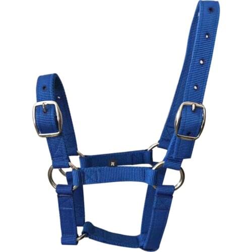 Adjustable Horse Riding Halter For Horse 1 to 1.65 Meters Equestrian Head Collar Rein Belt Bridle