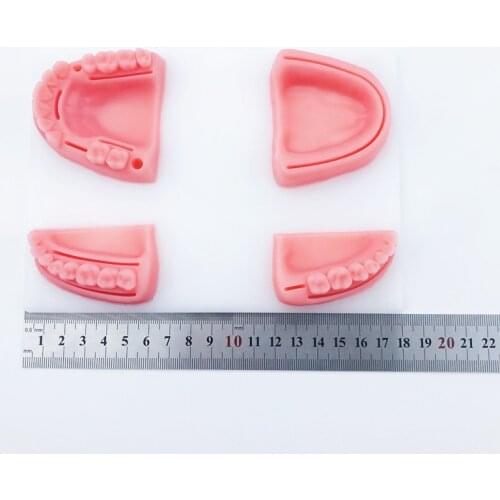 4 pcs/ set Dental Oral/Gum suture training module silicone periodontitis suture model Teaching Resources
