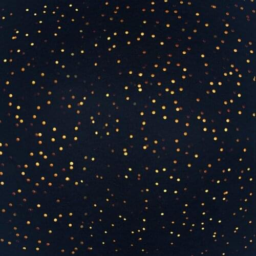 Golden Light Spot Black Backdrop Photography Background Baby Shower Celebration Photo Booth Studio Decor