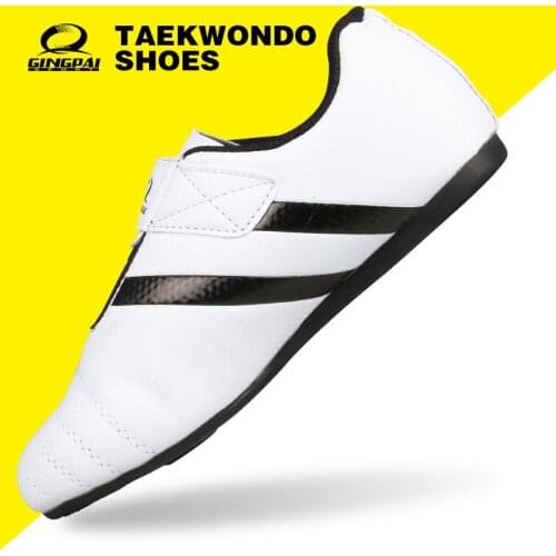 Wholesale Taekwondo Shoes Martial Arts Breathable Shoes Kung Fu Wu Shu KarateTraining Shoes Fitness Body Building Adult and Kids