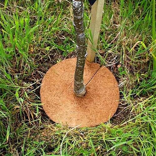 Planter Disc Coconut Mulch Cover Mulch Plant Cover Coir Mat For Gardening Mulch Disks Frost Protection Cold Protection Winter