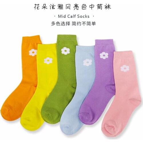 Olome Women's Socks And Hosiery