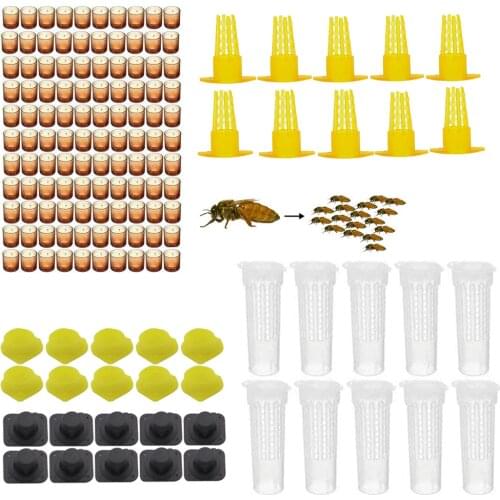 Complete Queen Rearing Kit System King Bees Plastic Protection Cocer Cages Cells Base Celular Plastic Tools Supplies beekeeper