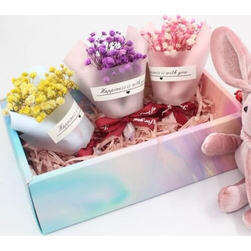 Mini Pack Dried Flower Sky Star Flower Star Natural Dry Flants Wedding Home Decoration Photo Props DIY Jewelry Making Craft Gift