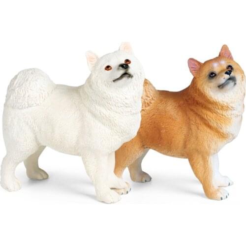 Samoyed Dog Animal Figure Collectible Toys Dog Animal Cognition Action Figures Kids Plastic Model Toys