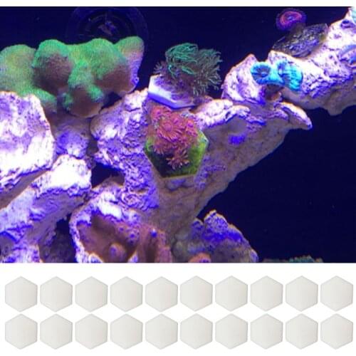 D08D 20 Pack Practical Coral Frag Base Seawater Coral Fragment Hexagonal Disks Tiles Support for Coralline Growth Reproduce