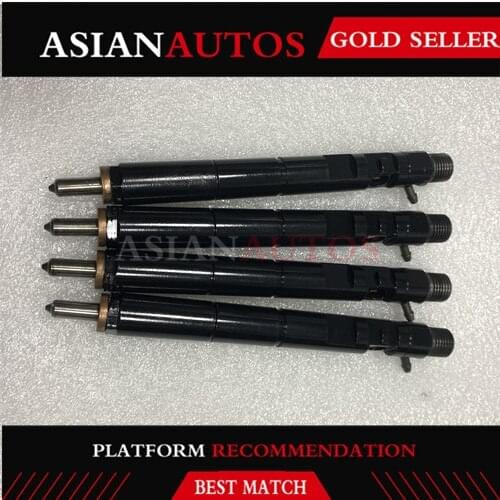 EJBR03701D / EJBR02901D Fuel Diesel Injector 338004X800 for Hyundai Terracan Kia Canival