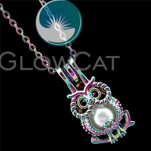 R-C722 Rainbow Colors Bird Owl Beads Cage Pendant Essential Oil Diffuser Aromatherapy Pearl Cage Locket Necklace