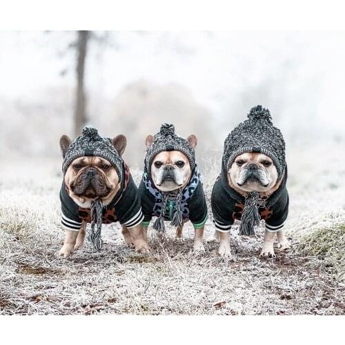 Newest Arrival Dog Hat Autumn Winter Warm Windproof Knitted Hat Cute Costume Accessories Cap for Pet Dog
