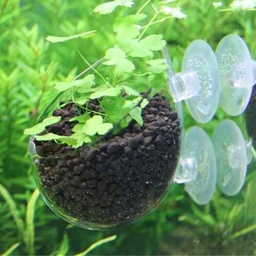 Crystal Plant Glasses Pot for Aquarium Tank Aquascape Fish tank Aquarium for breeding grass and landscaping Red Shrimp Holder