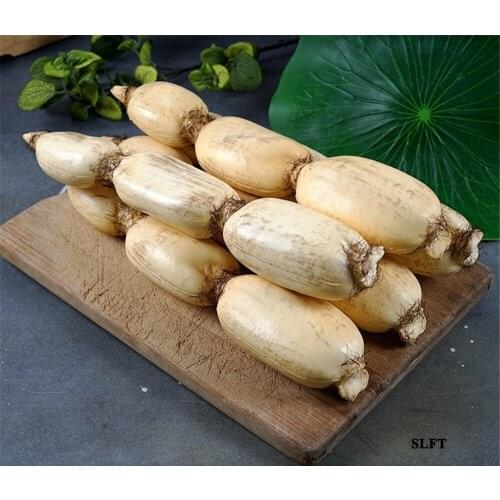 Kitchen cabinet green grocery hotel supermarket store shop decoration Faux artificial simulation fake vegetables lotus root