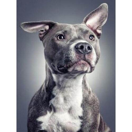 5D DIY Diamond Painting animal dog Cross Stitch Full Round/Square Diamond Embroidery Mosaic Cartoon Pictures Decor Gift WG1689