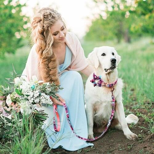 Dog Collar Leash Set Custom Pet ID Collars Princess Personalized Collar Colorful Dogs Walking Leash for Small Medium Large Dogs