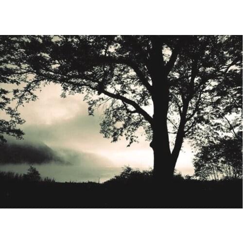 Canvas prints modern oil painting Impressionist art , photo of a big tree printed for home decor free shipping