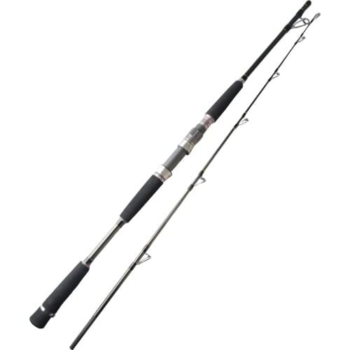 TOMA 1.65M 1.8M 2 Sections Sea Boat Jigging Fishing Lure Weight 50-200g Sea Carbon Fast Action Spinning Jigging Fishing Rods