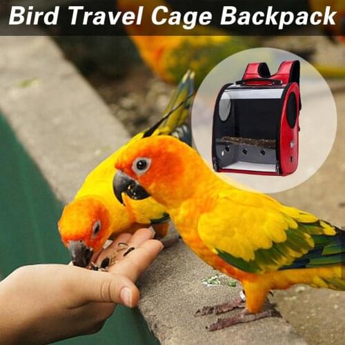 Transparent Pet Backpack Double-open Zippered Bird Travel Cage Stylish Bird Carry With Venting Holes Outdoor Parrot Travel Bag