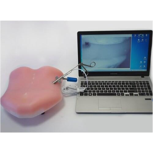 Foraminal mirror simulation training device Orthopedics Foraminal mirror technology TESSYS