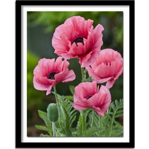 Diamond Embroidery Flowers Full Square Diamond Painting Floral Picture Cross Stitch Diamond Home Decoration