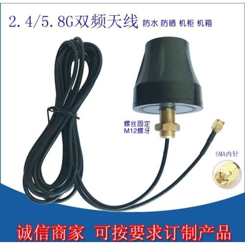 2.4 / 5.8g Cabinet Antenna 2400-5900m Cabinet Chassis Guard Against Theft Antenna Double Frequency Transmission Antenna 7dbi