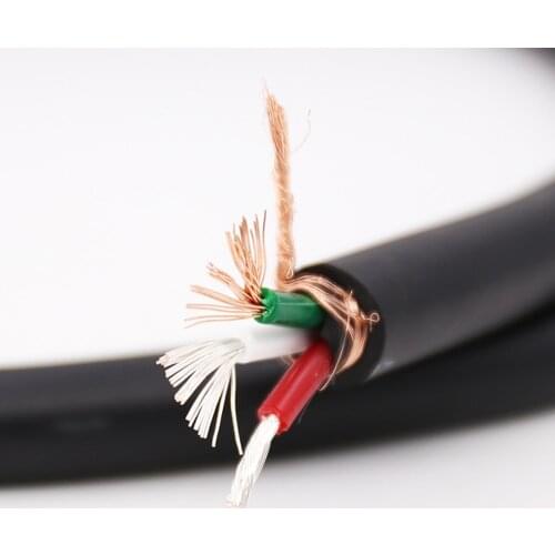 HiFi Hi-end Hiend FP-314AG Pream CD Amplifier Vacuum Amplifier Power Buckle Cable HiFi Silver Plated Cable