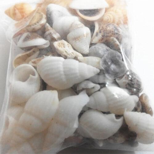 Brand New 1 bag 40pcs Mini Sheel Useful 40pcs Tiny Mixed Seashells Real Small Sea Shells Craft Wedding Beach Confetti