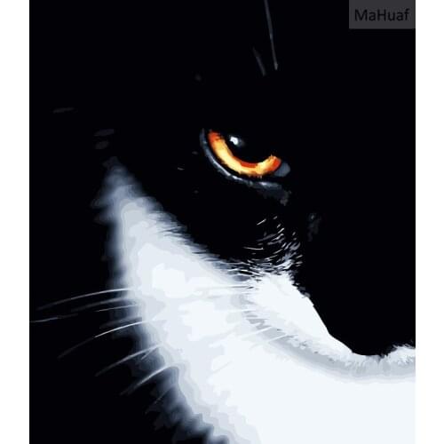 MaHuaf-i001 Eye of cat 40x50cm Frameless DIY oil painting by numbers DIY digital oil painting on canvas home decoration