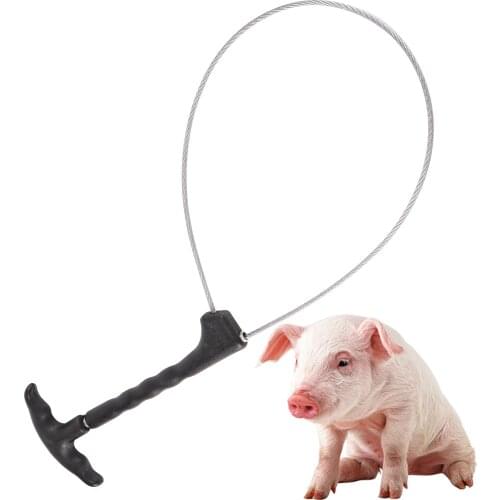 Livestock Pig Baoding Set Pig Fixed Rope Wire Ropes Sleeve Stockbreeding Tool Veterinary Equipment 1 Pc