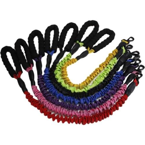 1PC Elastic Pet Dog Leash Durable Nylon Dog harness Color Pet Walking Training Leash Cats Dogs Leashes Strap Dog Belt Rope