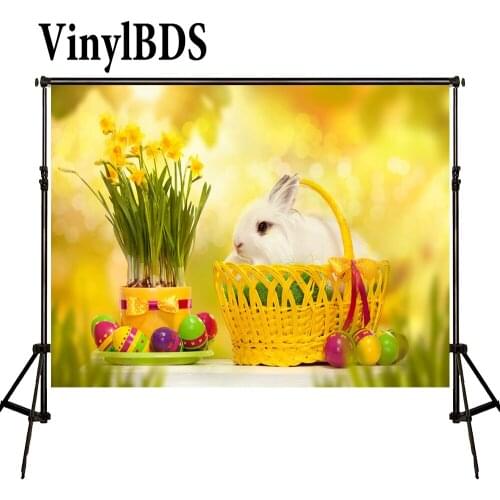 VinylBDS Easter Sunday Egg Dishes Basket Photo Frame Easter Photography Backdrops Zj