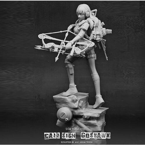 DIY 1/24 75mm Call Sign Goshawk Female Archers