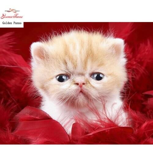 5D DIY full square diamond painting mosaic animal cute kitten diamond rhinestone embroidery cross stitch display home decor