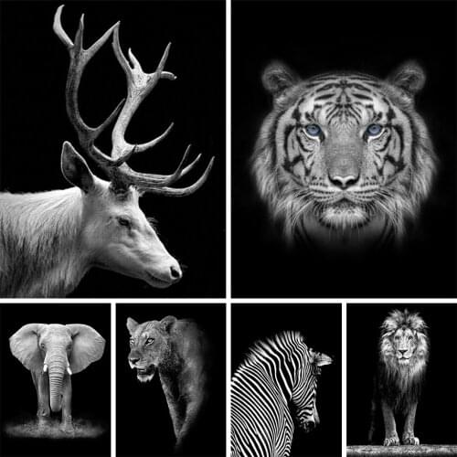 5D DIY Diamond Paintings Animal Black White Hue Reticent Animal Full Square Drill Cross Stitch Kit Diamond Embroidery Art Gift