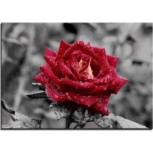 Full Diamond Painting Rose With Dew Embroidery Cross Stitch Mosaic Home Decoration Wall Decor Handmade Diy Gift