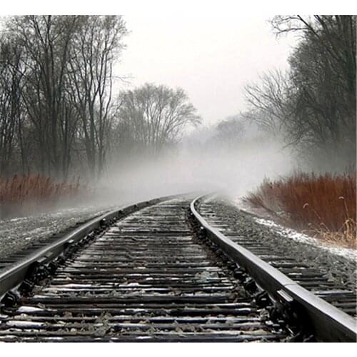 Photographic Camera Backdrop 5x7 Railway Foggy Woods For Wedding Photo Shoots Real Professional Camera Photo Studio Background