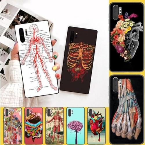 PENGHUWAN medical human head meridian kidney art Soft Silicone Phone Case Cover for Samsung Note 3 4 5 7 8 9 10 pro M10 20 30