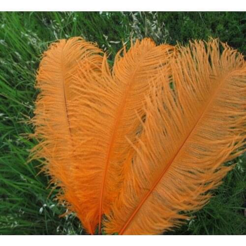 Wholesale beautiful orange ostrich feathers 100pcs 20-22 inches / 50-55 cm Weddings & Celebrations feathers