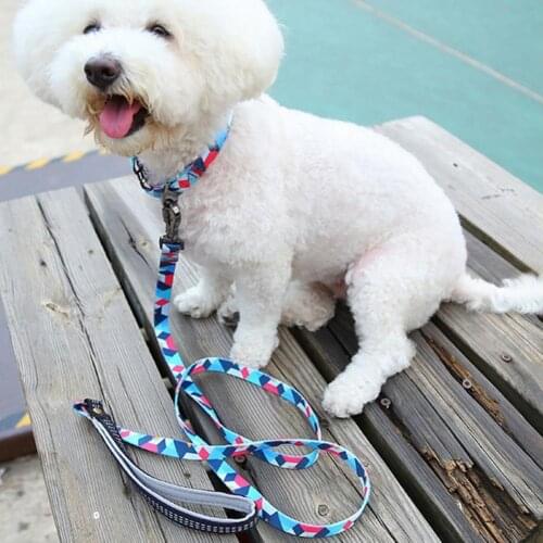 Durable Pet Leashes Collar Skin-friendly Geometric Patterns Printing Explosion Proof Polyester Dog Traction Rope for Walking