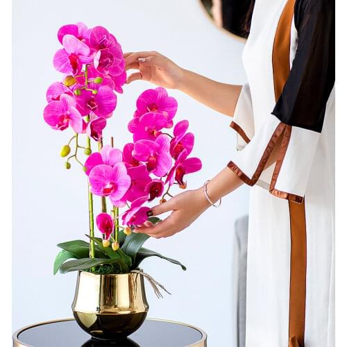 Simulation Flower Bonsai Imitation Phalaenopsis Suit Pu Handle Over Glue Flower Arrangement Interior Living Room Decoration