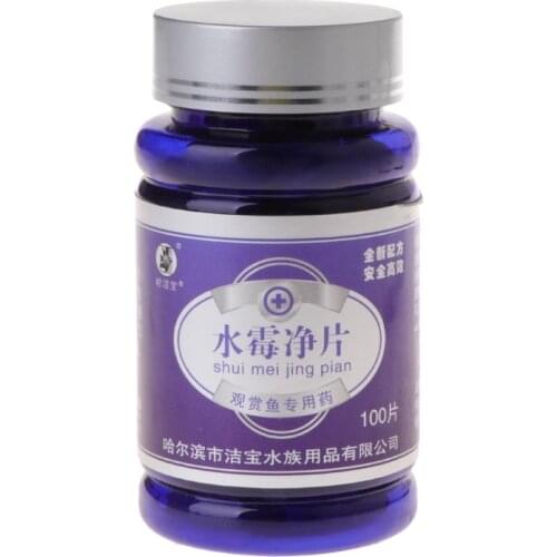 Let’s Pet Interior Decor Items