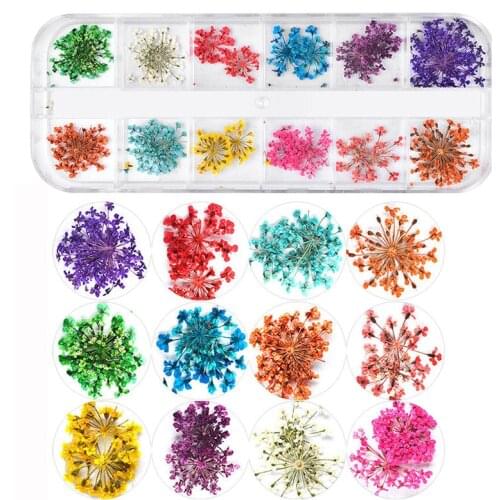 Real Nail Lace Dried Flowers Leaf Nail Art Decoration DIY Tips Small Flowers Nails Stickers for Manicure Tools Nails Accesorios