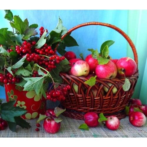 Jmine Div 5D Apple Full Diamond Painting cross stitch kits art High Quality Plant 3D paint by diamonds