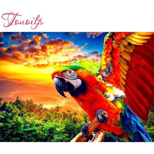 TOUOILP spuare&round Diamond Embroidery,Sunset parrot 5d Diamond Painting,Cross Stitch Diamond Mosaic,Needlework,Christmas art