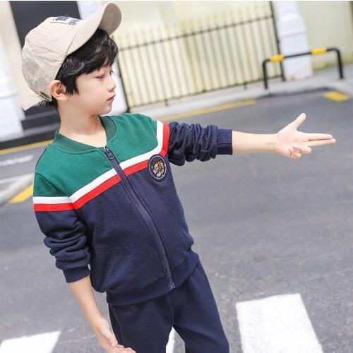 2020 autumn boy girl clothes sets fashion cotton kids zipper sweatshirts+Haren pants Suit 2 piece baby clothes Children clothing