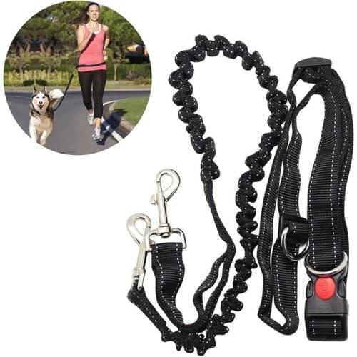 Hands Free Running Dog Lead, Adjustable Waist Belt Perfect for Jogging Hiking Walking, Dog Lead Leash Bungee Harness for Running