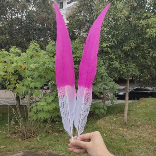 Hot 50/100 pcs Natural Silver Pheasant Tail Feather 60-65cm/24-26inches For Wedding Christmas Home Craft New Year Decoration