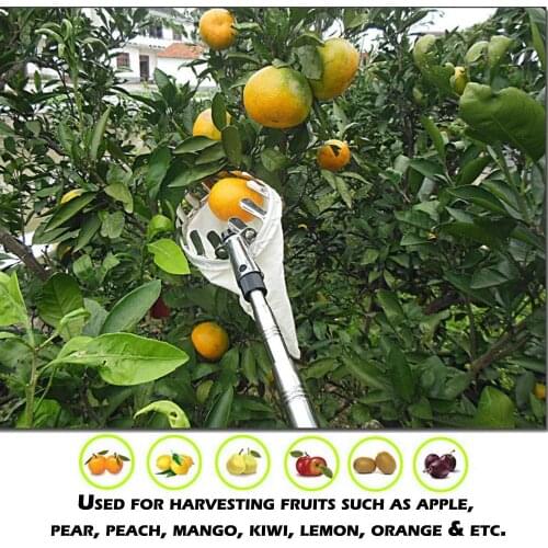 NEW Outdoor Useful Fruit Picker Apple Orange Peach Pear Practical Garden Picking Tool Bag Picking device best selling 2020