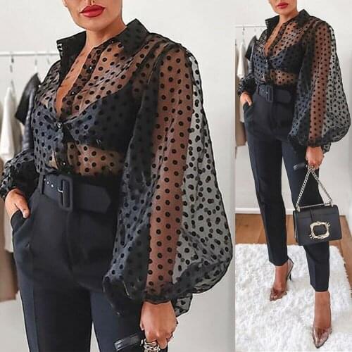 Women Blouse Long Puff Sleeve Polka Dot Pattern Folded Collar Sheer Shirt, Loose Button-Down See Through Wild Fashion Top